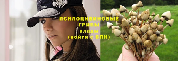 а пвп мука Абаза