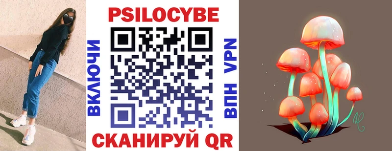 цена Циолковский Псилоцибиновые грибы Cubensis